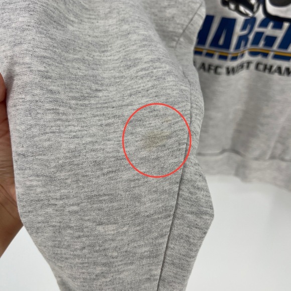 Vintage San Diego Chargers Sweatshirt Mens Large Hanes 2006 AFC West Champs Gray - Picture 4 of 13